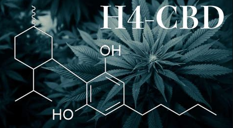 Was ist H4-CBD ?