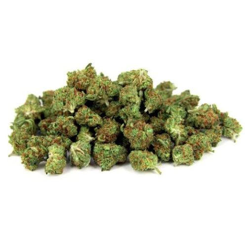 MINI-BUD PREMIUM